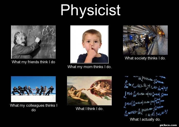 Physicist What my friends :Perception vs Fact - PicLoco