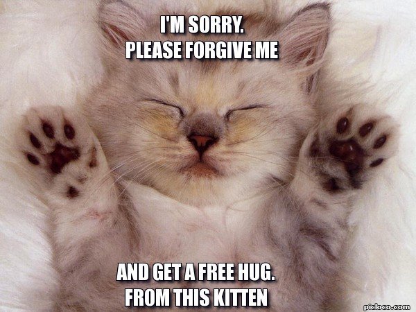 frabz-Im-sorry-Please-forgive-me-And-get-a-free-hug-From-this-kitten-e070a2