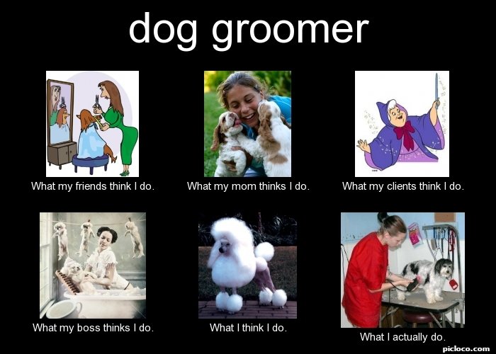 dog groomer What my frien :Perception vs Fact - PicLoco