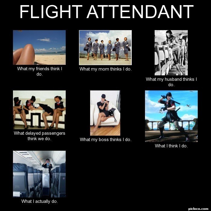 FLIGHT ATTENDANT What my :Perception vs Fact - PicLoco