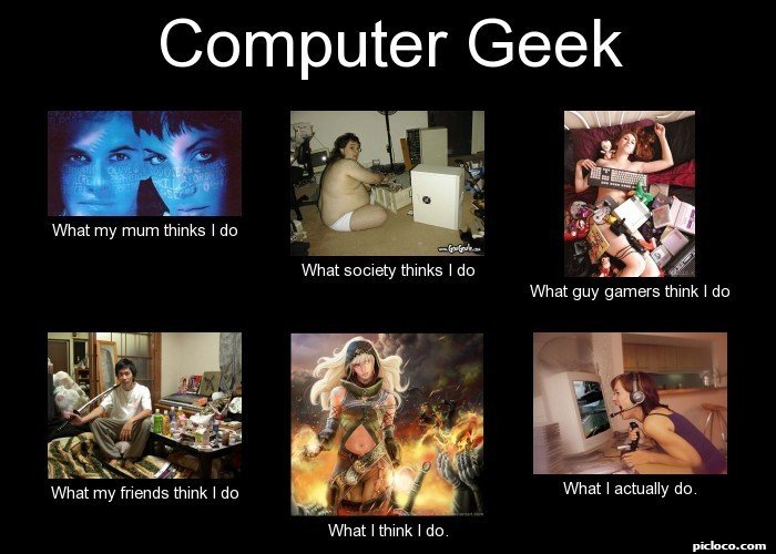 Computer Geek What my mum :Perception vs Fact - PicLoco